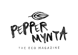 Peppermynta Fairfashionbag Guide